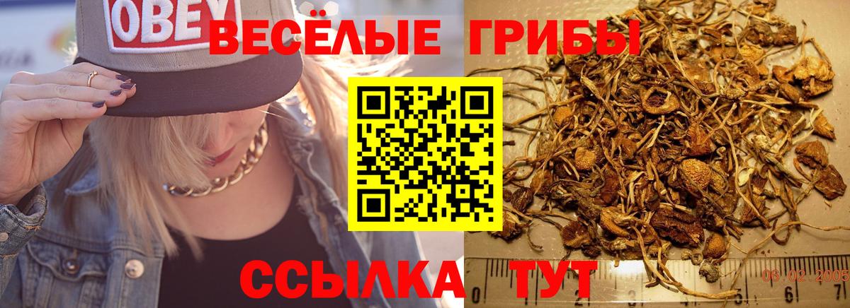 Псилоцибиновые грибы MAGIC MUSHROOMS Ангарск